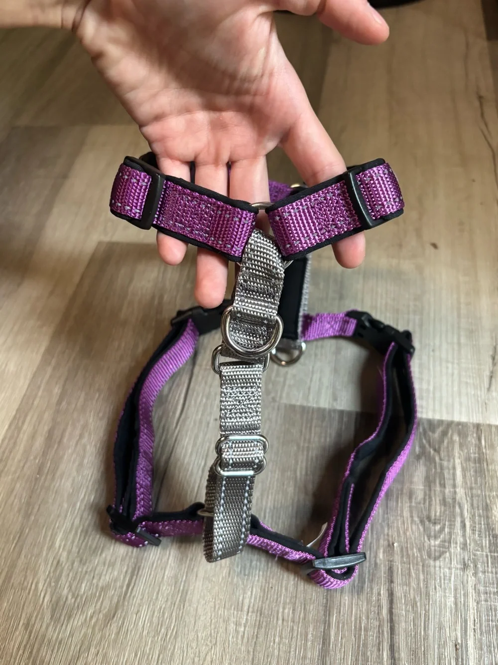 New Purple Petsafe 3 in 1 Dog Harness Collar Size Medium
